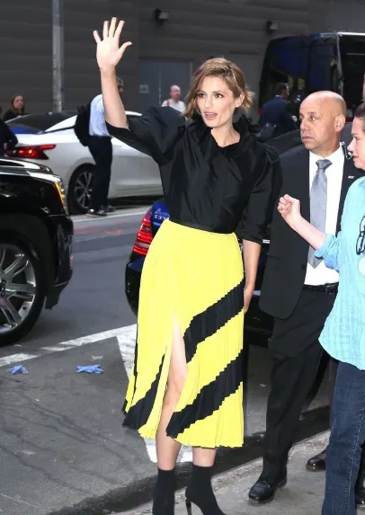 stana katic net worth