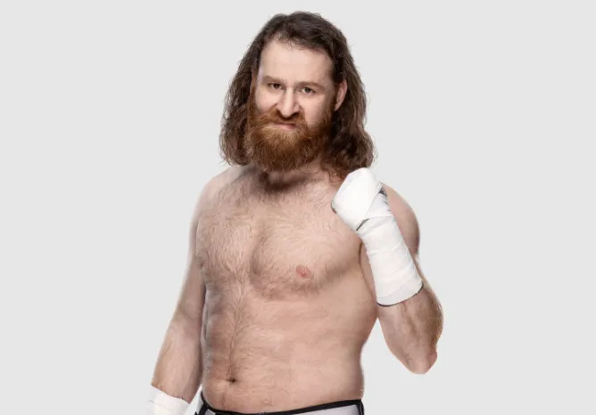 Sami Zayn Age, Biography, Net Worth, Career, Wife & WWE Journey